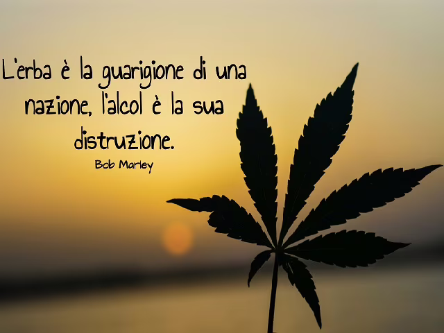 frasi bob marley