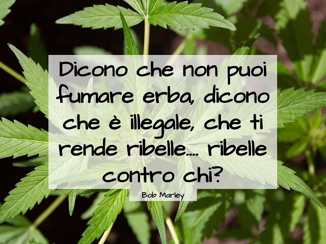 frasi celebri bob marley 