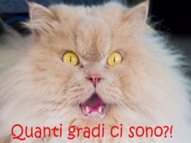 frasi fa caldo