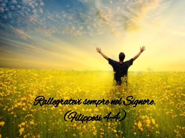 frasi sull'allegria