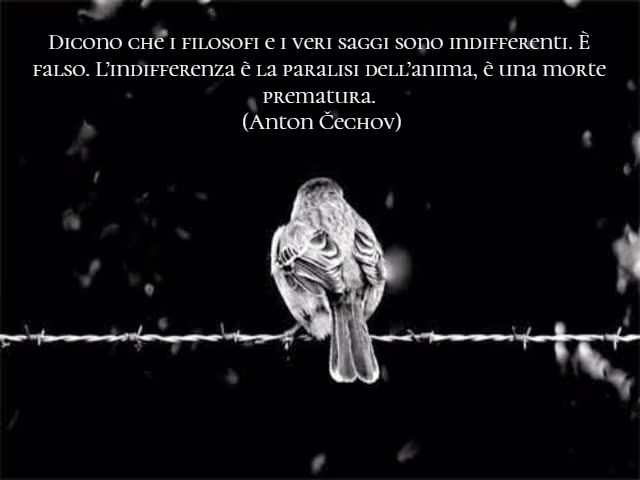 frasi sull'indifferenza