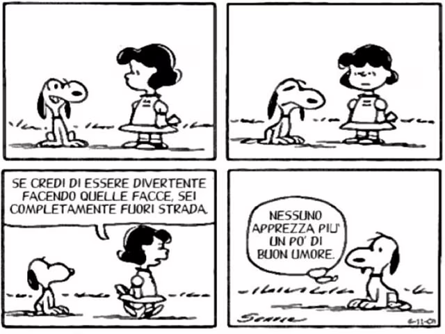 immagini di allegria
