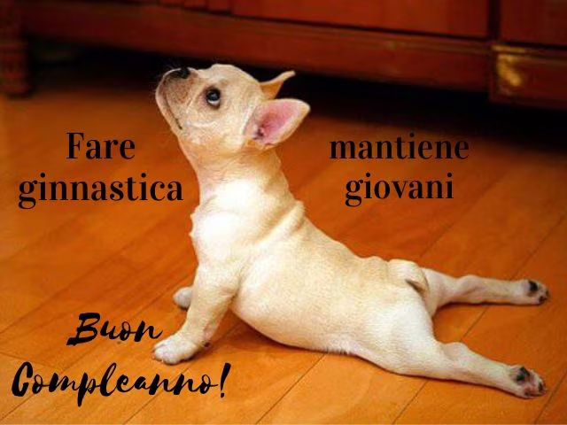 immagini di buon compleanno divertenti