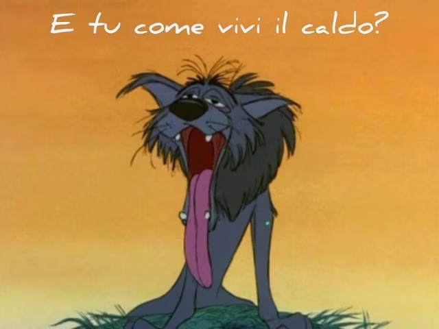 immagini divertenti sul caldo afoso