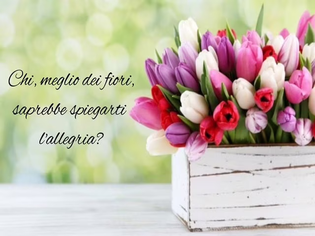 immagini e frasi sull'allegria