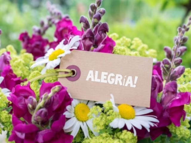 l'allegria frasi
