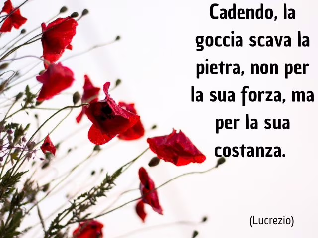 Frasi celebri vita e forza