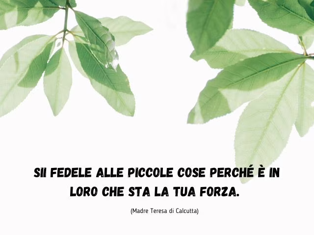 Frasi celebri vita