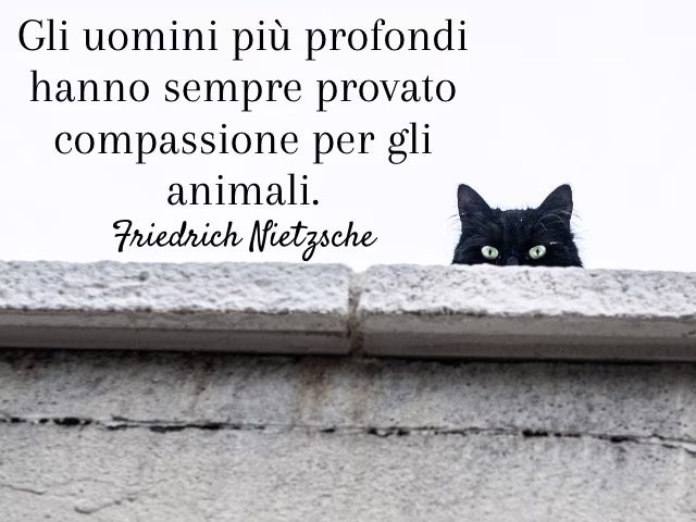 aforismi di nietzsche
