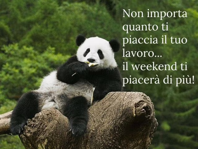 auguri di buon lavoro