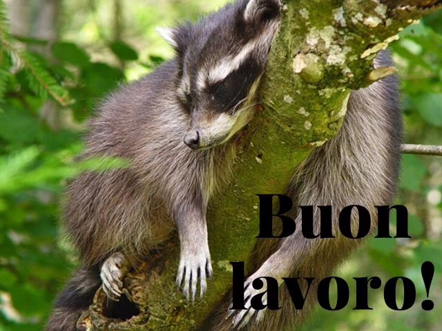 buon lavoro e buona giornata