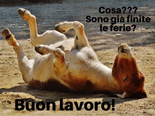 buongiorno lavoro