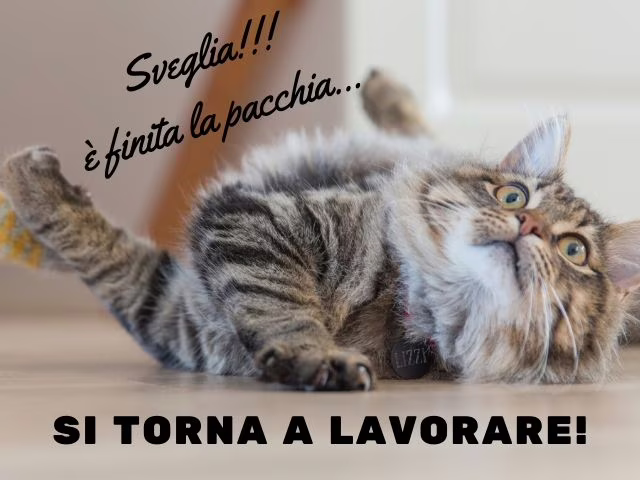 frasi auguri nuovo lavoro