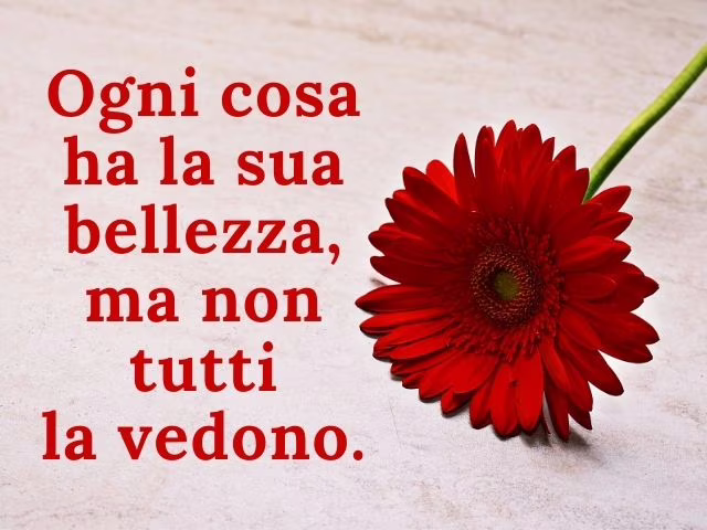 frasi celebri confucio