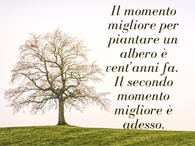 frasi confucio divertenti