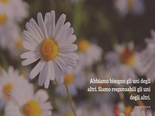 frasi del Dalai Lama 