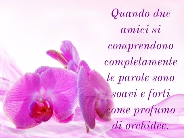 frasi di confucio