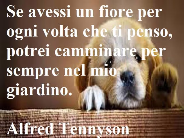 frasi dolci per amiche