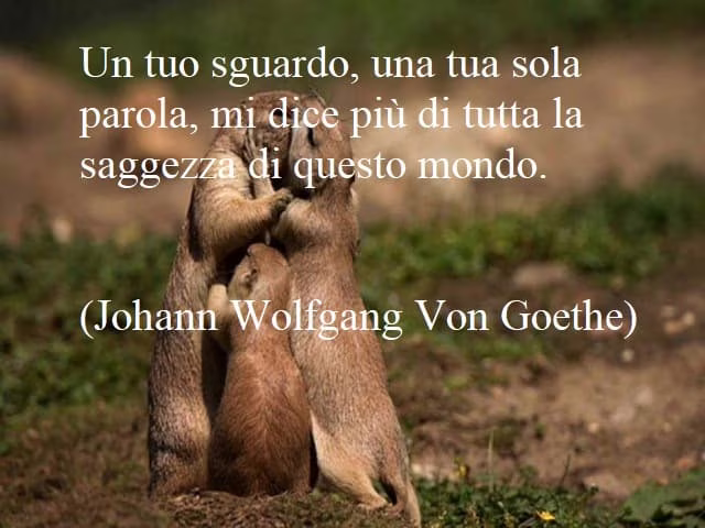 frasi dolci per lui