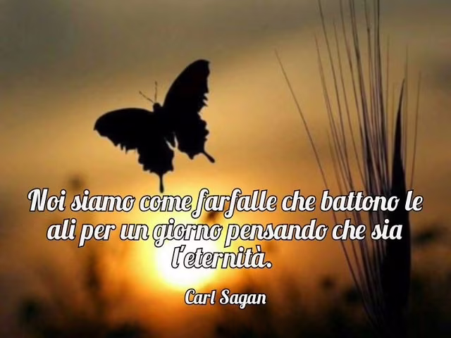 frasi importanti con immagini
