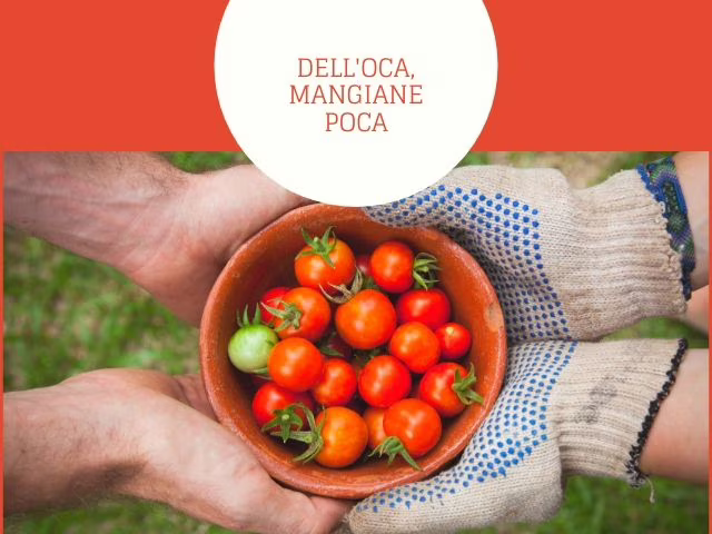 frasi ironiche cibo