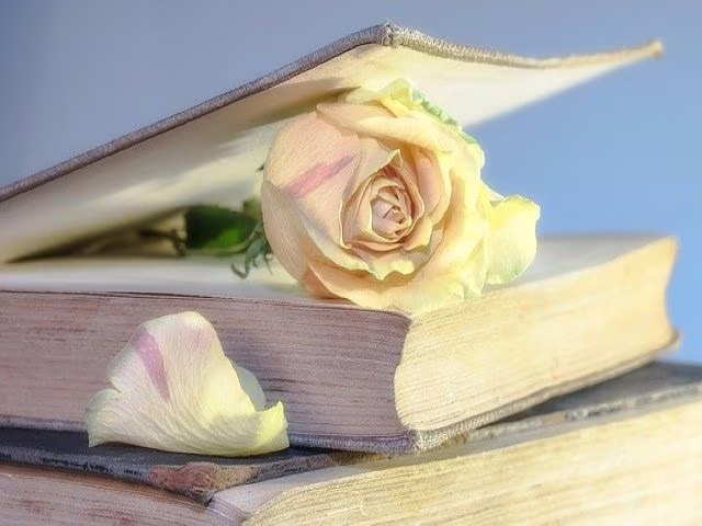 frasi libro nicholas sparks