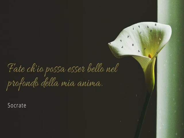 frasi socrate