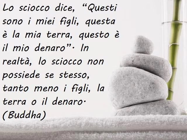 frasi su buddha 