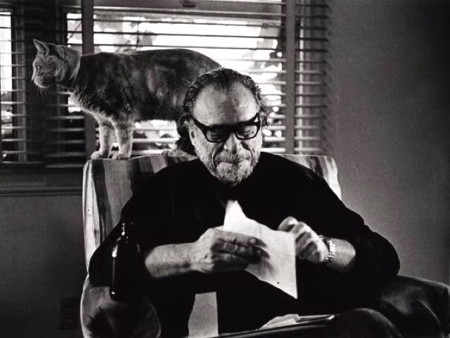 frasi sui gatti bukowski