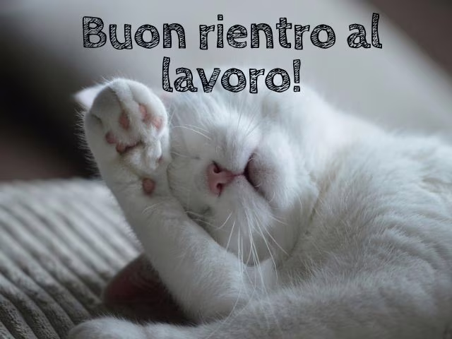 immagine lavoro