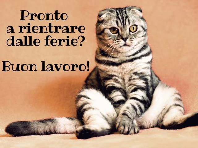 immagini buon lavoro amore mio