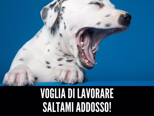 immagini buon lavoro di notte