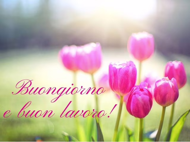 immagini di buon lavoro gratis