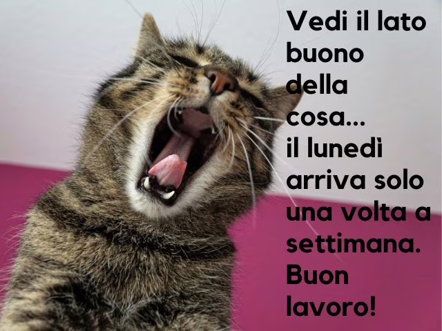 immagini di lavoro divertenti