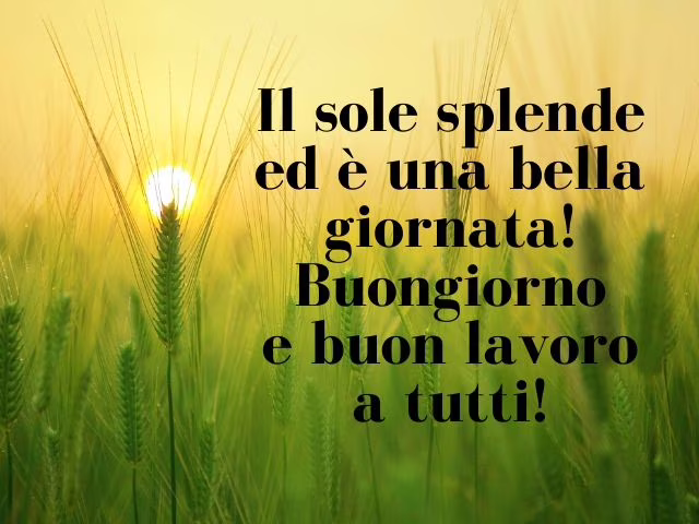 immagini divertenti sul lavoro