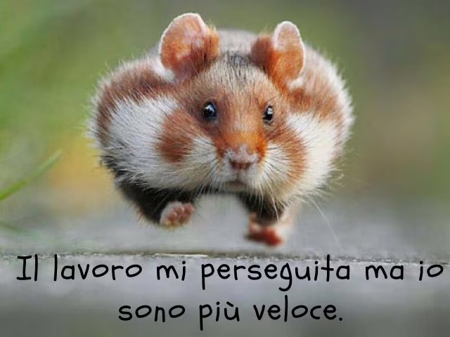 immagini motivazionali lavoro