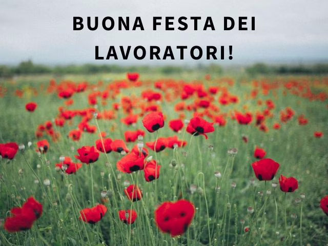 immagini rientro al lavoro