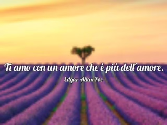 immagini significative sull'amore