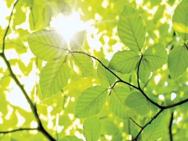 immagini sui colori