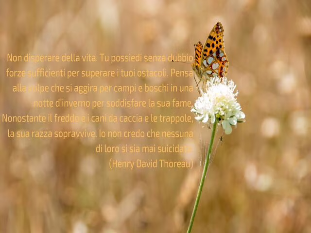 la resilienza frasi 