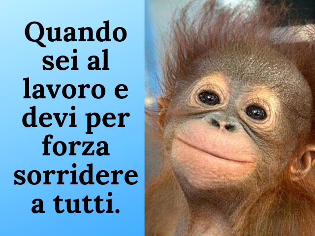 lavoro di squadra