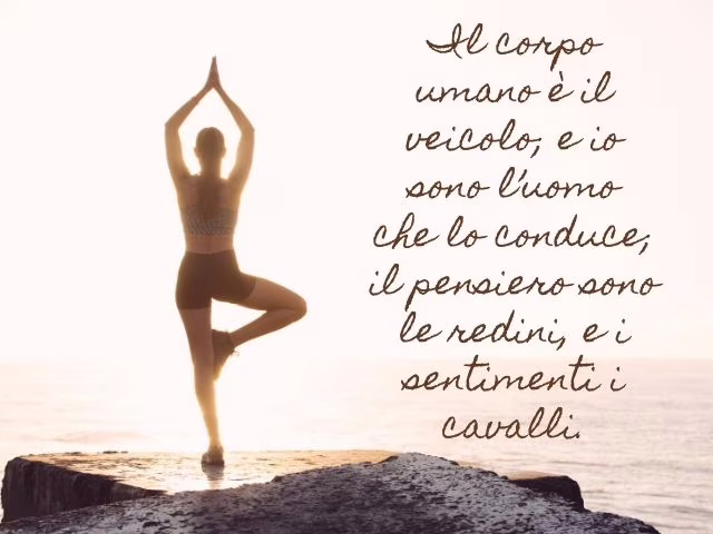 citazioni platone