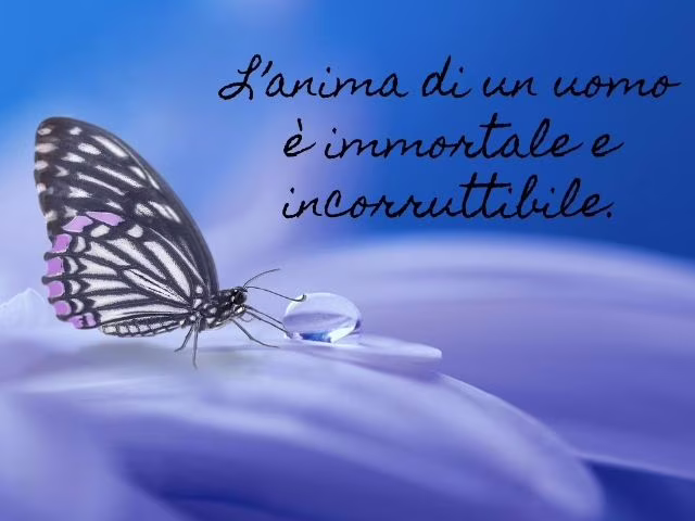 frasi di platone