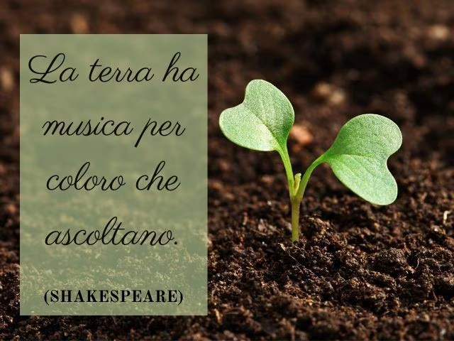 frasi di shakespeare