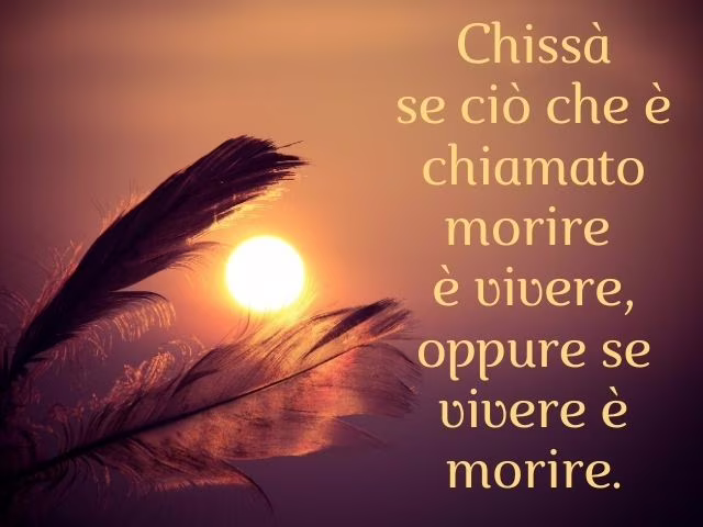 frasi platone amore