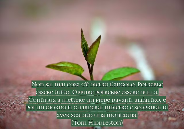 frasi sulla tenacia 7
