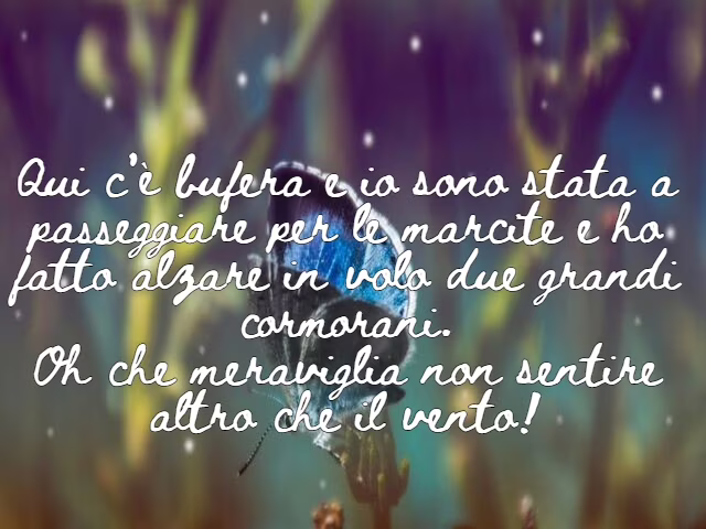 frasi vento 6