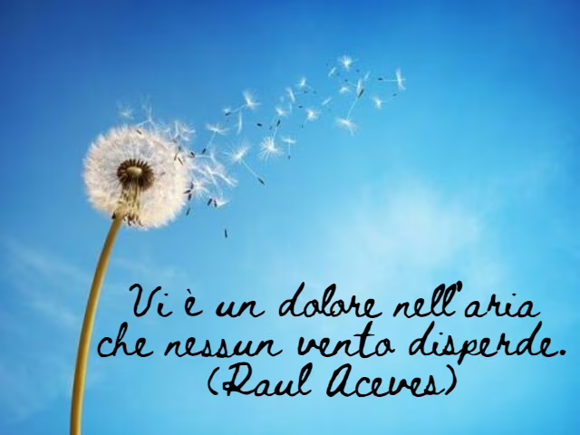 vento frasi 8