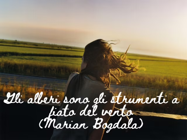vento frasi 9