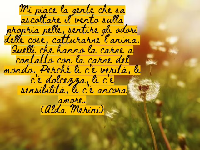 vento frasi
